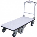 Motorized carts